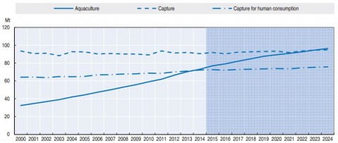 Evolution of aquaculture production and capture fisheries